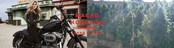 стаф Богородск