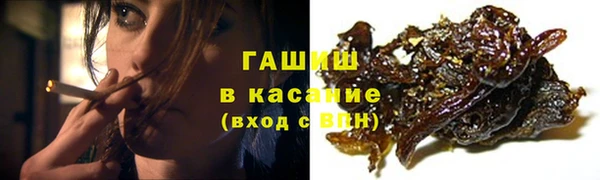 стаф Богородск