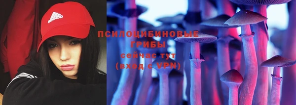 винт Богданович
